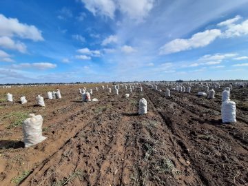 В Крыму предложили установить единую планку арендной платы за сельхозземли