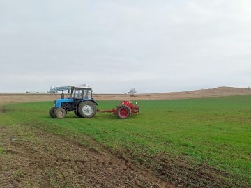 В Ленинском районе оценили состояние озимых посевов
