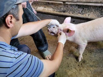 Все – на учет!