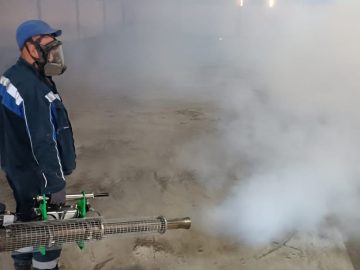 За полгода обеззаражено более 800 тысяч тонн зерновой продукции