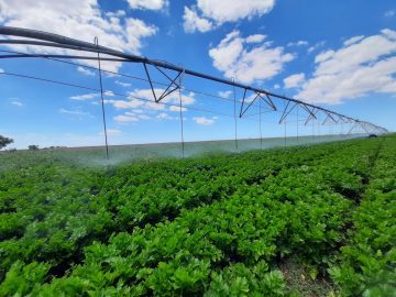 Крымским аграриям добавят воды для орошения