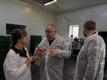 Делегация минсельхоза Крыма посетила АО «Крымхлеб»
