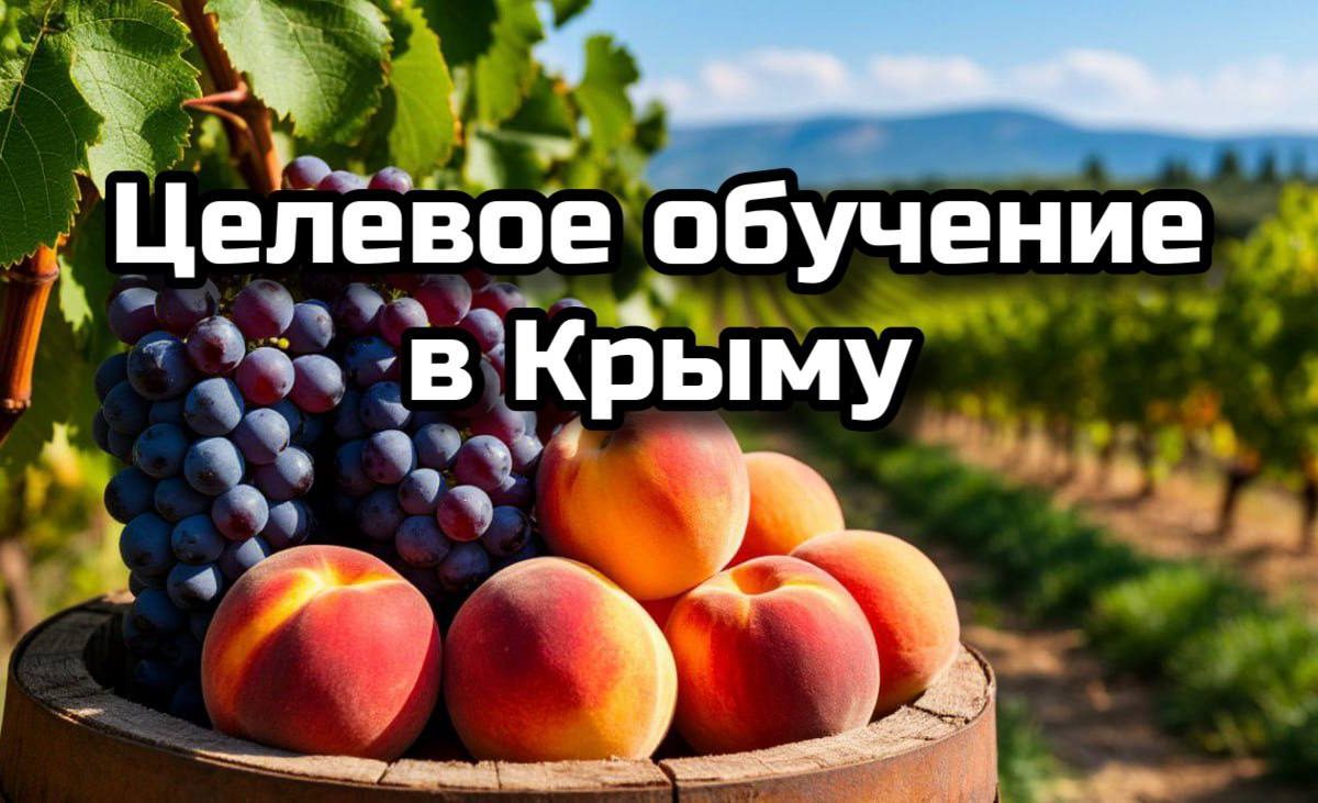 Приемная кампания 2025/2026 по целевому обучению