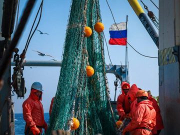 Общероссийский вылов достиг порядка 3,4 млн тонн