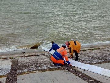 Крымские водохранилища зарыбляются