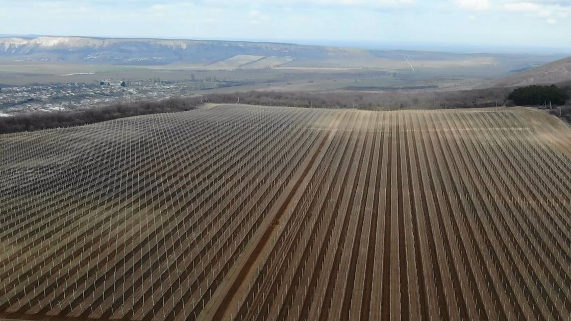 Субсидии на уход за многолетними насаждениями