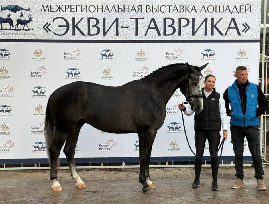 «Экви-Таврика» — важный этап в селекционно-племенной работе