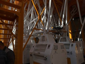 Запущено новое мукомольное производство в Евпатории