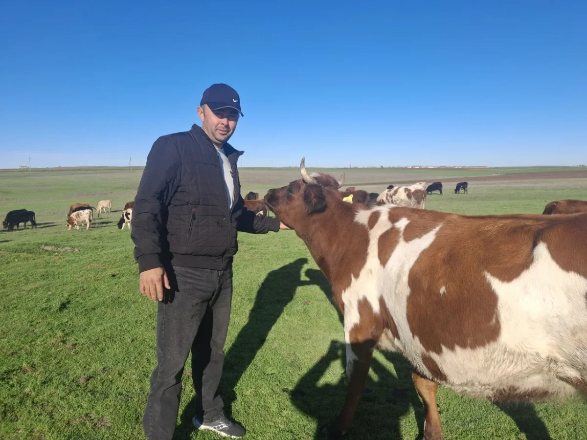 На постоянной связи с фермерами