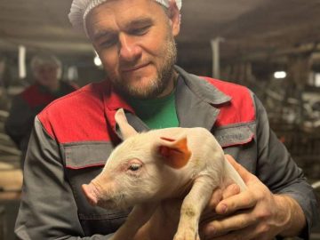 Уверенный шаг к конкурентоспособности аграрного сектора