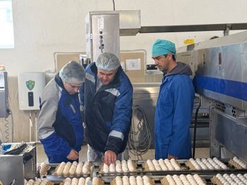 Положительная динамика