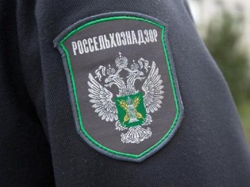 Россельхознадзор отменил 133 декларации