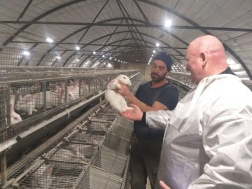 «Герои Крыма» — программа в действии