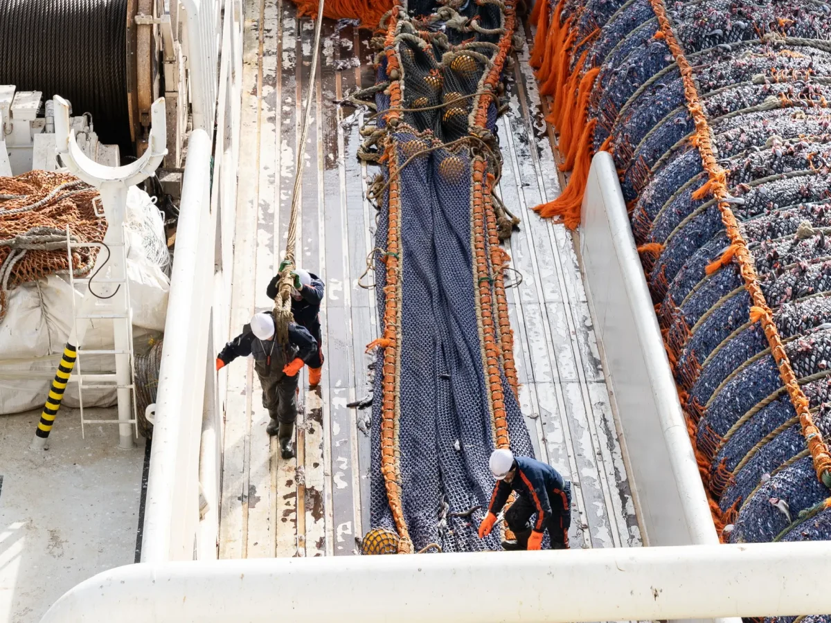 Общероссийский вылов достиг порядка 4,5 млн тонн