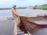 Аквакультура в Крыму