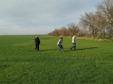 Посевы озимых – на контроле!