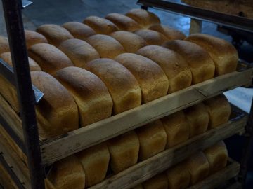 Запущены новые меры поддержки АПК