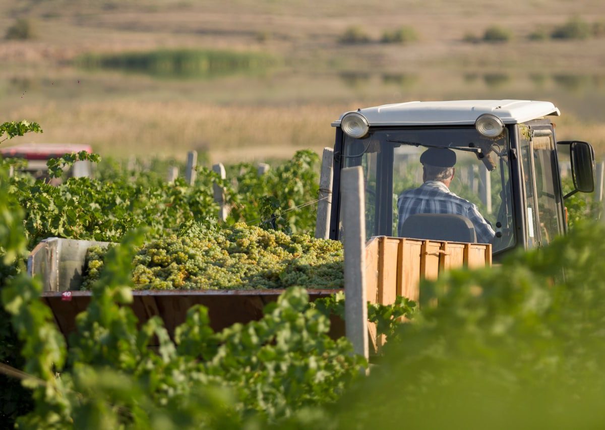 Инвесторы в крымском АПК