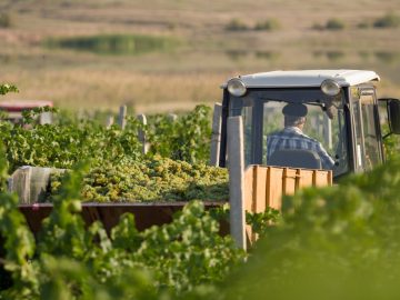 Инвесторы в крымском АПК