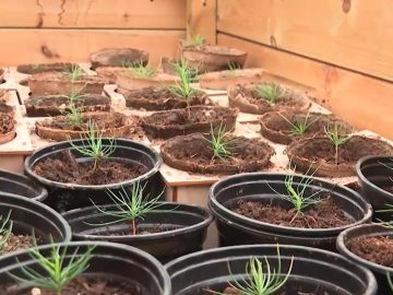 Агроклассам в Крыму зеленый свет