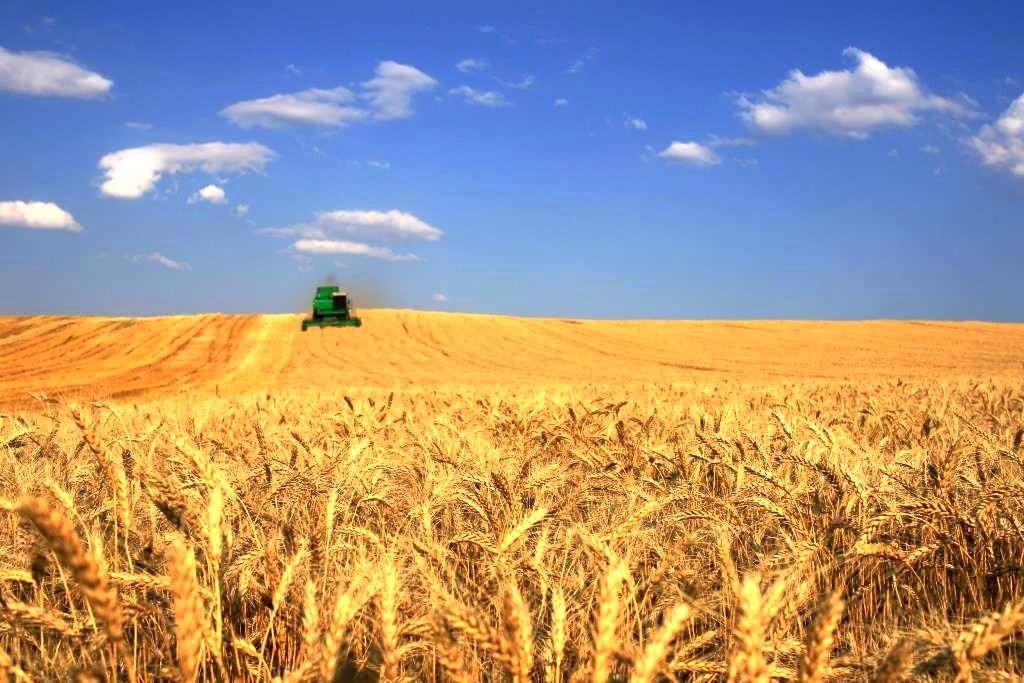 Чтобы избежать потери урожая