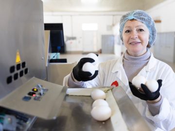 Рекордное производство яиц