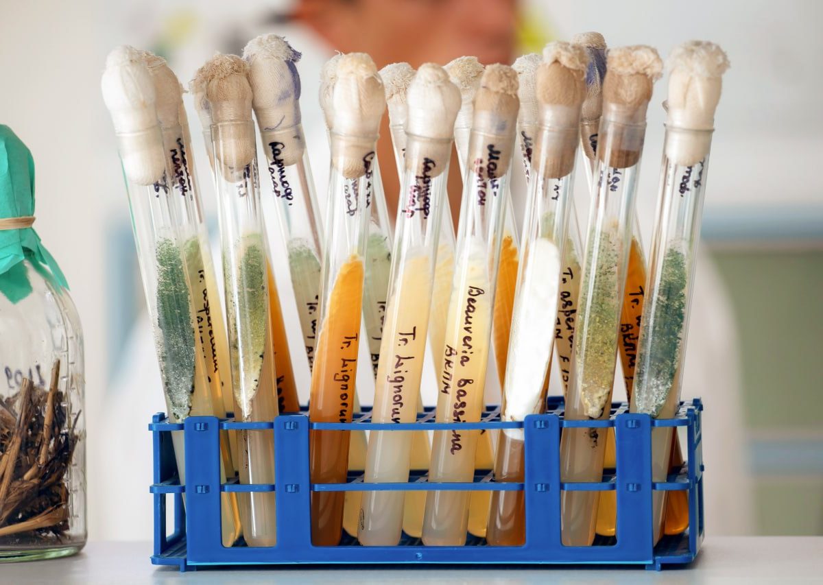 Инновационные биопрепараты для «умного» сельского хозяйства