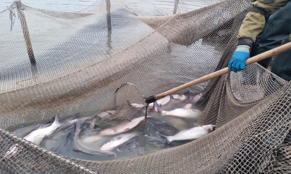 Олег Зубков расширяет производство