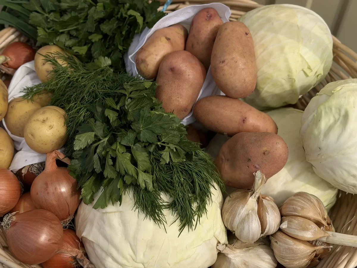 В гостях у грантополучателей