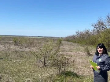 Повышенная налоговая ставка за неиспользование земли