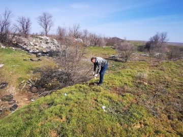 Забота о плодородии почв