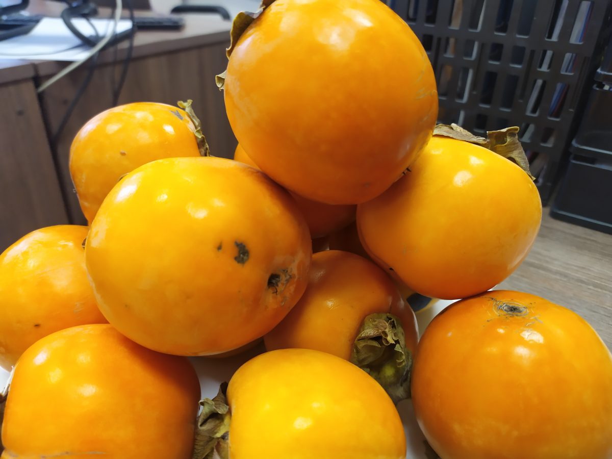 «Правильная»  хурма