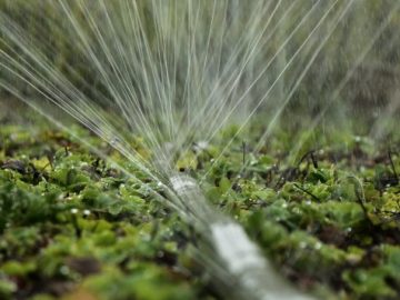 План орошения крымских сельхозземель