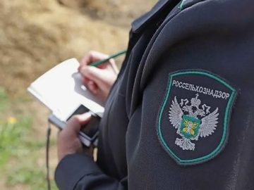 За неправильное применение пестицидов – штраф!