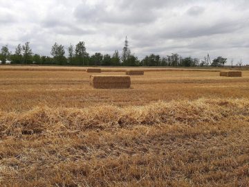 Россельхознадзор напоминает о Правилах противопожарного режима