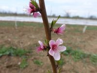 До 50% страховой компенсации