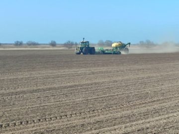 Аграрии Красноперекопского района завершили посевную кампанию