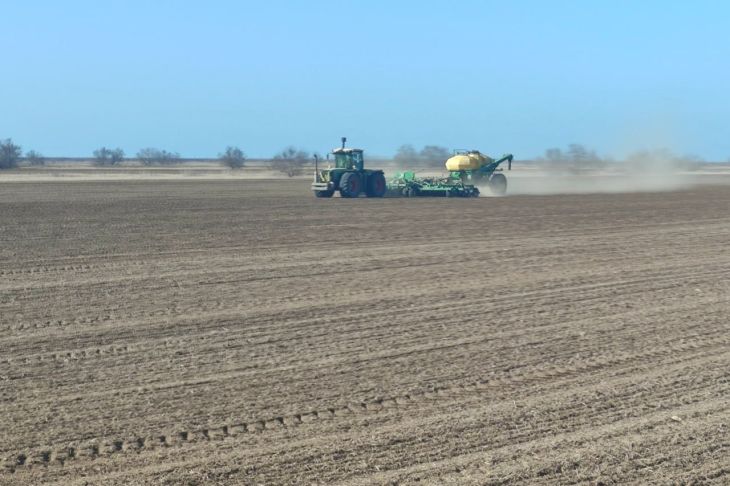 Аграрии Красноперекопского района завершили посевную кампанию