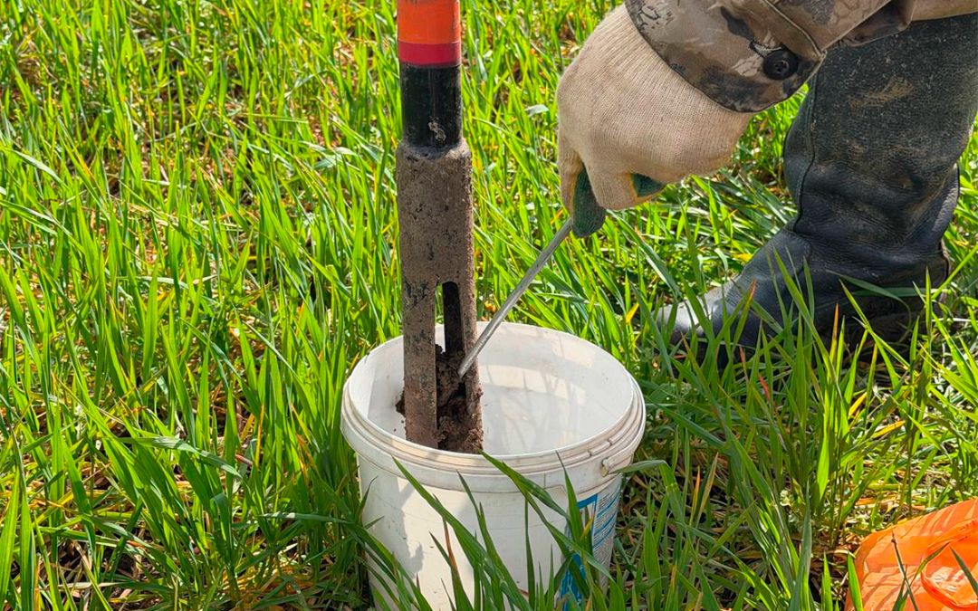 «РосАгрохимслужба» оценила влагозапасы в крымской почве