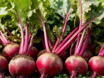 Крым в ТОПе!