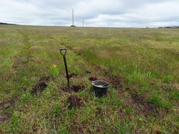 Рекультивация земель сельхозназначения