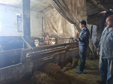 Штраф за нарушения!