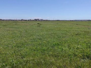 В Крыму ведётся еженедельный мониторинг почв