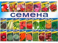 Апробация в Крыму
