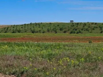 Проверка почвенного покрова в Крыму