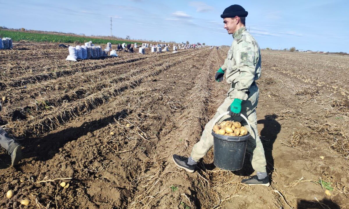 Молодые аграрии Севастополя получат выплаты