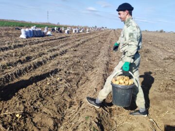 Молодые аграрии Севастополя получат выплаты