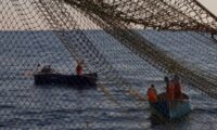 Поддержка рыбопромышленных компаний