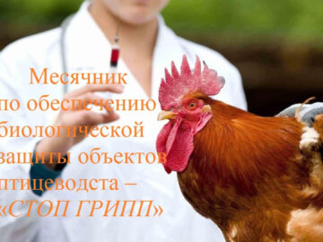 Проходит месячник «СТОП ГРИПП»