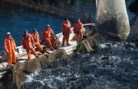 Более 3,1 млн тонн рыбы с начала года добыли российские рыбаки